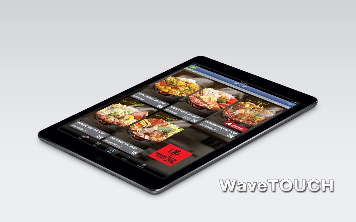 Wavesoft wavetouch software on Apple iPad